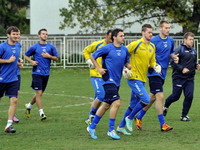 Reprezentacija BiH kompletna, spreman i Spahić