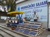 Nikšić u srijedu otvara 40. Sajam šljive