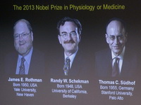 Nobel za medicinu Rotmanu, Šekmanu i Zidhofu