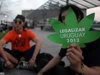 Urugvaj: Senat izglasao legalizaciju tržišta marihuane