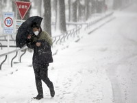 U novoj snježnoj oluji u Japanu 23 ljudi poginulo