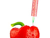 EU: Članice same da odluče o uzgoju GMO