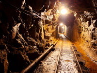 Zlatna koka: Jagma za kupovinu borskog rudnika