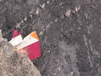 Bračni par porijeklom iz BiH poginuo u padu aviona Germanwingsa