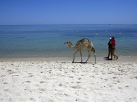 Tunis produžio vanredno stanje za još dva meseca