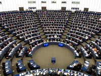 Evropski parlament poziva na što skorije otvaranje poglavlja 23 i 24