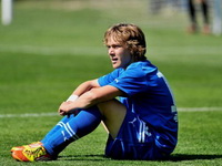 Alen Halilović ide u HSV