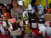 I SRBIJA NAZADOVALA Sve manja rodna ravnopravnost u svetu