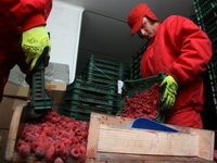 Ministarstva poljoprivrede FBiH i RS-a predstavila vodič za izvoz voća i povrća