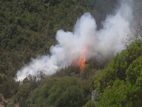 Poljski turista priznao da je podmetnuo požar na Žanjicama.