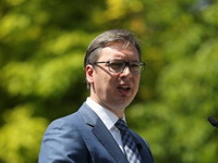 Vučić: Pre kraja godine izneću mišljenje o Kosovu i Metohiji