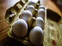 Brisel će tražiti odštetu zbog kontaminiranih jaja