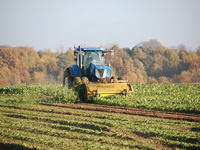 Poljoprivrednici će morati biti registrovani i u sistemu PDV-a kako bi koristili sredstva EU
