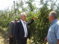 Šarović: Ne smije se ponoviti loše iskustvo prilikom izvoza voća u Rusiju