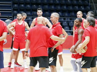 TRENER ZVEZDE ZADOVOLJAN PRIPREMAMA! Tomić: Stvaramo dobru hemiju, ne znam gde je Janković!