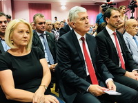 HDZ izbornim programom predlaže četiri teritorijalne jedinice u BiH i distrikt Sarajevo