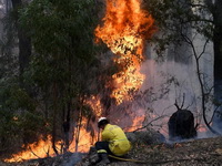 Australija se i dalje bori sa požarima: Sidnej prekrio GUST DIM, snažan vetar OMETA GAŠENJE