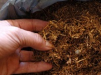 BiH još nije usvojila odluku o smanjenju potrošnje duhana