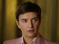 Otvoreno pismo Ane Brnabić: Marko Vidojković kao najizgledniji kandidat za predsednika Srbije