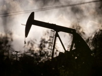 Mićović: Ograničavanje cena naftnih derivata u skladu sa zakonom ali dugoročno neodrživo