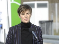 Zelena tranzicija: Brnabić i britanski ministar o sprovođenju Zelene agende
