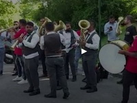 Estrada stiže na venčanje, gužva ispred restorana! Trubači, besna kola i narodnjaci!