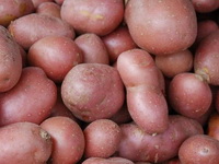 Koliko su poskupele namirnice: Cena krompira skočila za 193 odsto