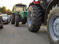 Poljoprivrednici krenuli traktorima za Beograd - pregovori se nastavljaju! Cena suncokreta i dalje problematična