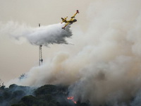 U Portugaliji počela trodnevna zabrana odlaska u šume