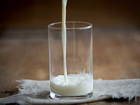 Ukinuto ograničenje cena mleka