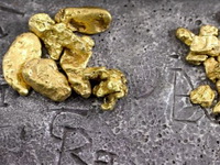 Koliko zlata sada ima Srbija?