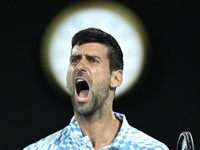 Bitka protiv rivala, povrede i negativne kampanje: Novak Đoković mora sa savlada brdo prepreka u borbi za AO finale
