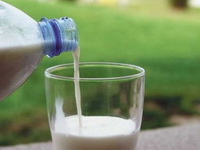 Uvode se takse na uvoz mleka kako bi se zaštitili domaći proizvođači