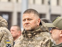 Ukrajinski general Zalužni teško ranjen nedaleko od Hersona