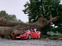 Oluja nosila krovove, obarala drveće na kola, ali malo ko u Srbiji ima osiguranje: Kad štetu plaćaju javne institucije?
