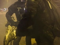 Epilog proslave pobede fudbalskog kluba PSŽ: dva navijača poginula, policajac u komi, 192 povređenih, privedeno 559 ljudi