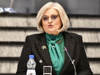 Tabaković: Srbija ima 50,5 tona rezerve zlata - važno je da kupuje ko ima i kad ima