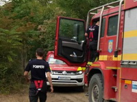 Vatra ne posustaje u Deliblatskoj peščari, 125 stranih spasilaca čuva naselja: Nemci odali priznanje srpskim vatrogascima – uradili su izvanredan posao